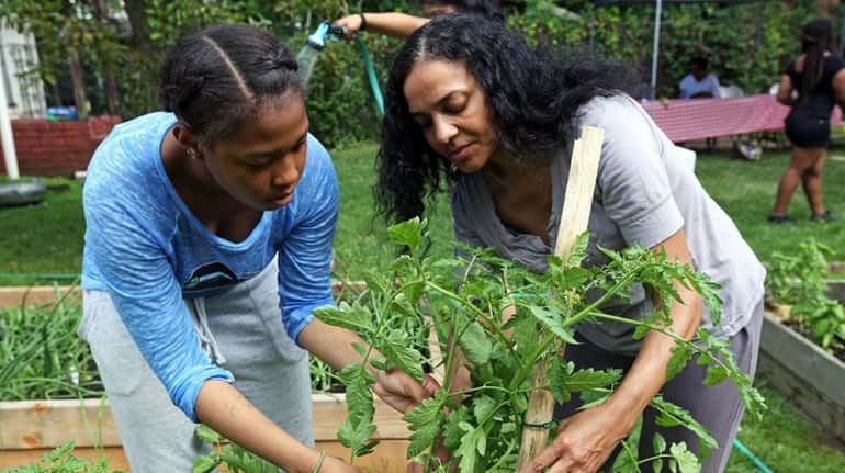 The Seed to Table Community Garden provides more than just...