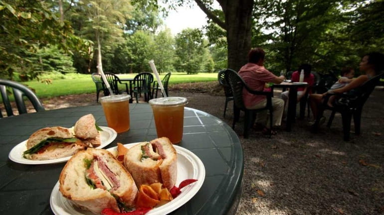 Cafe in the Woods, on the grounds of the Phipps...