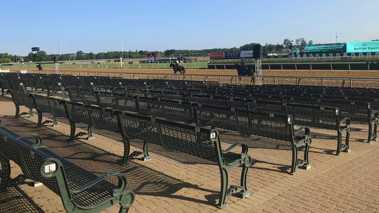 Race horses stroll along the track of Belmont Park before...