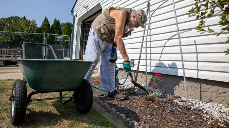 Sean Tiedemann adds mulch to roses in his garden in East...