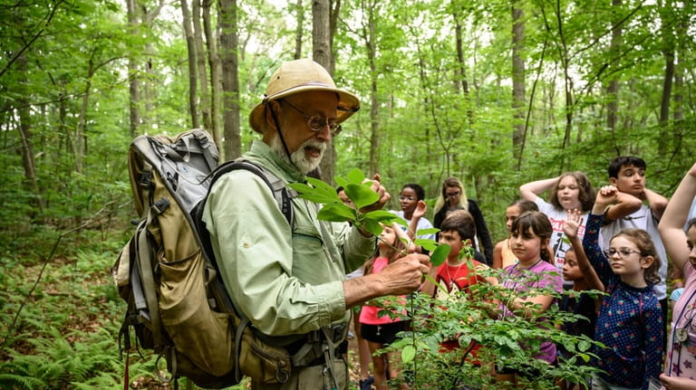 "Wildman" Steve Brill will lead a foraging session through the...