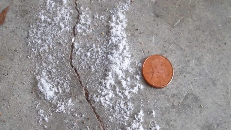 These salt crystals appeared when water evaporated from a puddle...