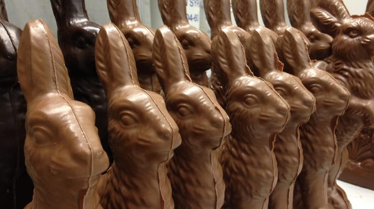 Schwartz Candies in Carle Place makes scores of chocolate bunnies...