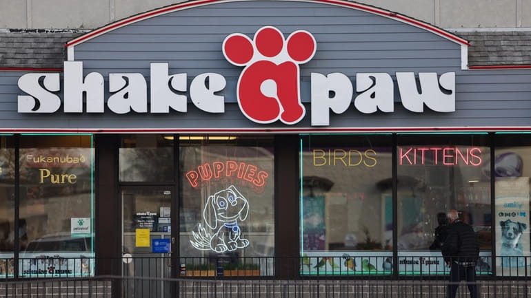A pair of Shake-A-Paw stores in Nassau County can resume selling puppies,...