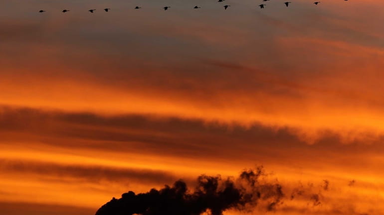 A flock of Geese fly past the smokestacks at the...