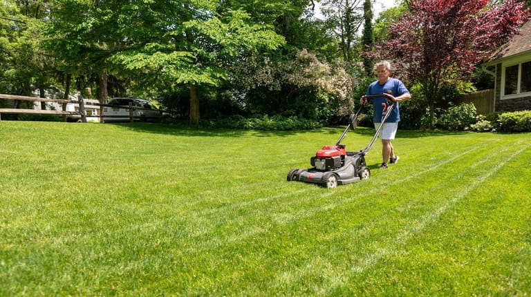 Huntington's Bill Bohn says he was unhappy with professional lawn care...