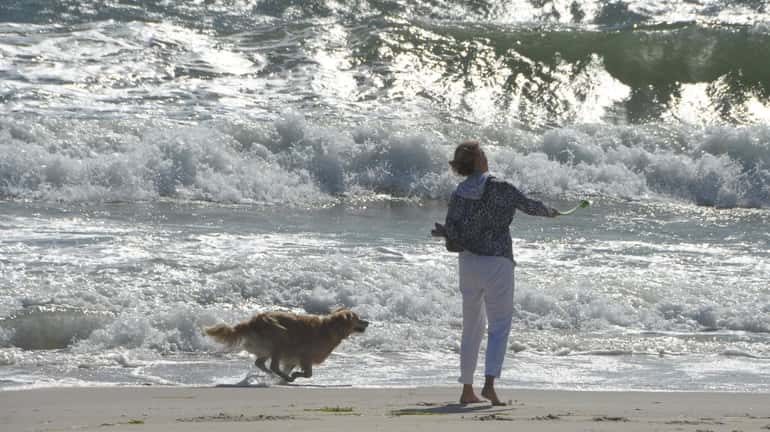 A woman and her dog playing catch on Rodgers Beach...
