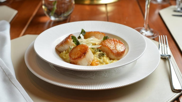 Seared scallops with butternut squash risotto, pepitas and sage at...