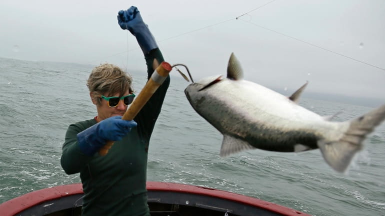 Sarah Bates hauls in a chinook salmon on the fishing...
