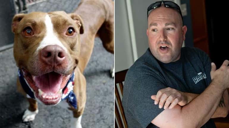 A pit bull adopted by Stephen Neira of Patchogue bit...