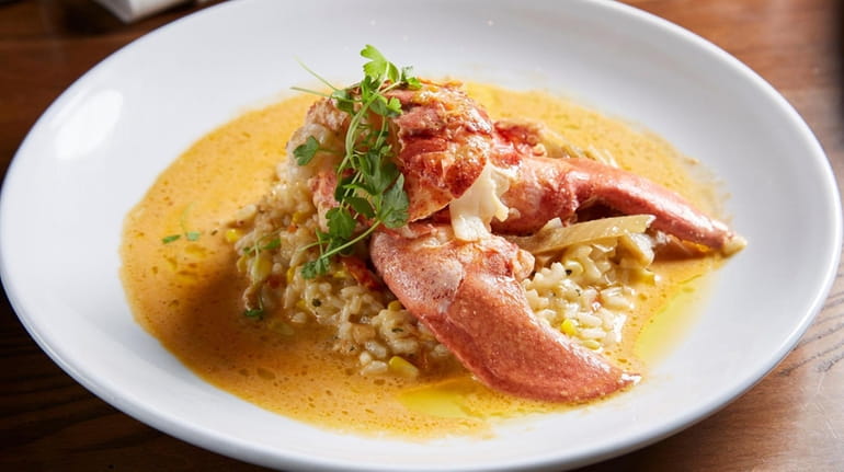 Butter-poached lobster with caramelized fennel and corn-and-tomato risotto is a...
