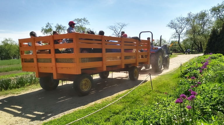 Hayrides are among the things to try when visiting the...