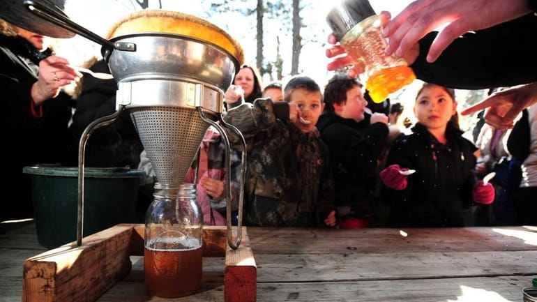 Children sample maple syrup made at the Hoyt Farm Nature...