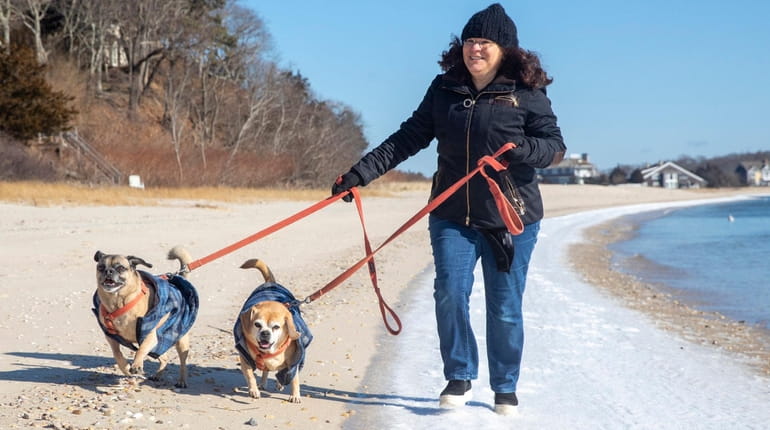Paula DiDonato takes her dogs Buddha and Lucy for a beach walk...