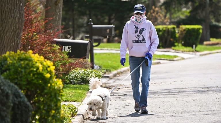 Pet sitter Beth Goldin walks client Buddy in Dix Hills. She...