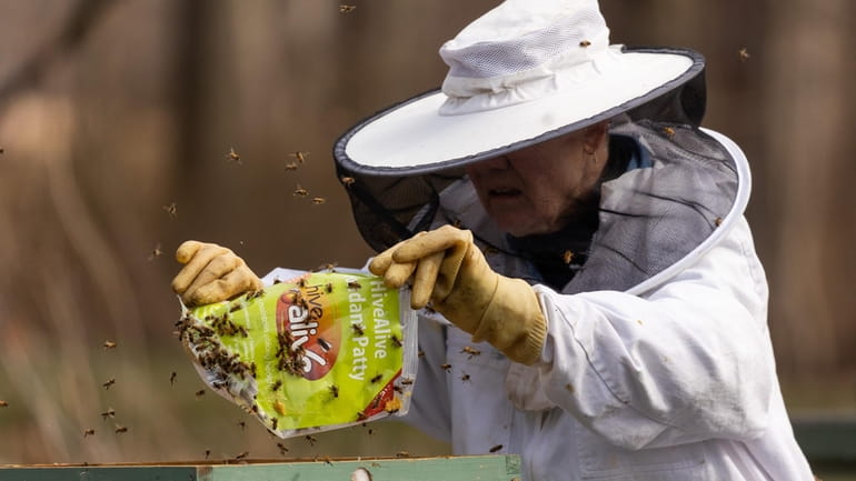 Master beekeeper Moira Alexander, of Smithtown, maintains the apiary at...