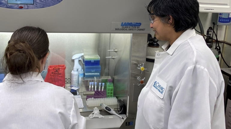 Chembio researchers perform a coronavirus test in the company's Long...