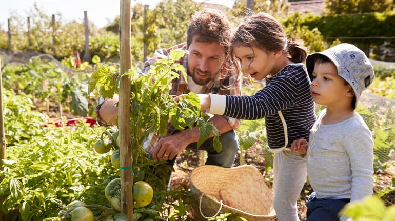 Gardening is the perfect activity to do as a family. 