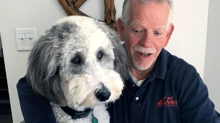 Michael Schaier, owner of Michael's Pack Positive Dog Training, is offering...