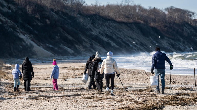 A group of volunteers scours the sand for litter on...