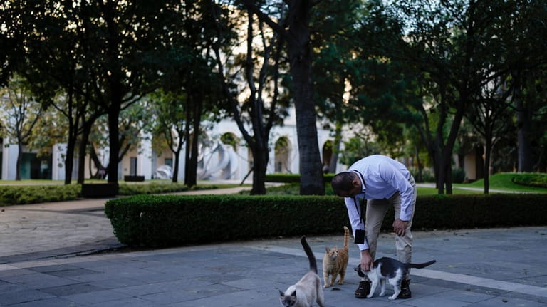 Veterinarian Jesus Arias greets Ollin in one a National Palace...