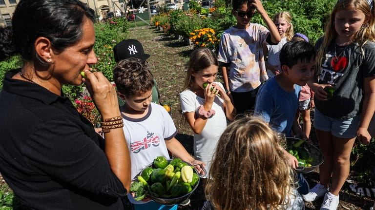 Sonia Spar offers students at Greenport Elementary School freshly picked...