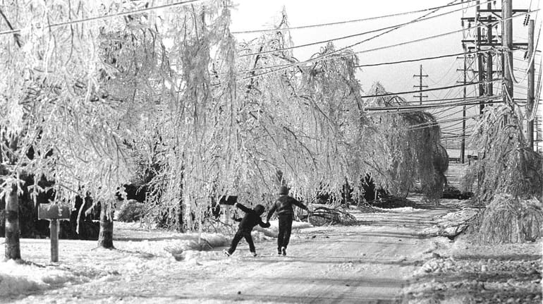 This is what Greenlawn looked like after an ice storm in...