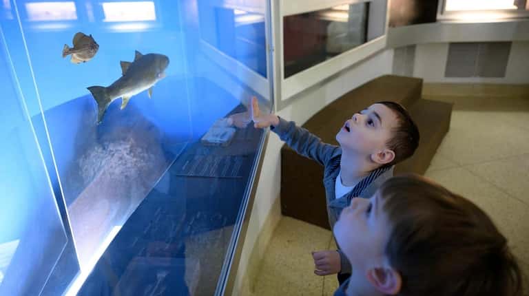 Jackson Indrieri, 3, of Old Brookville, center, is enamored with...