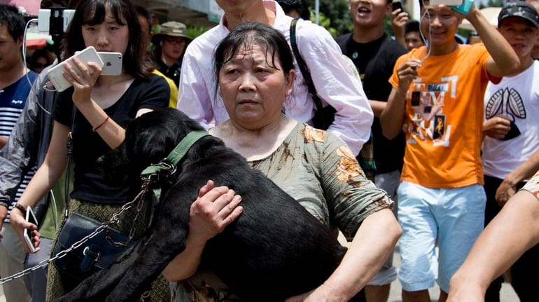An animal rights activist, center, carries a dog which she...