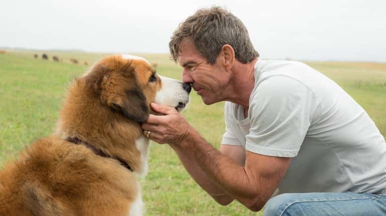 Dennis Quaid, right, bonds with a much-reincarnated friend in "A...