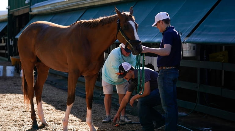 Preakness entrant Fenwick is cleaned up after working out ahead...