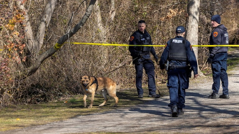 Suffolk Police K-9 units search Southards Pond Park in Babylon on...