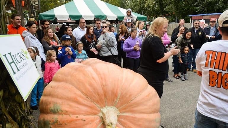 The audiance watches a 1,000 pound pumpkin being weighed during...