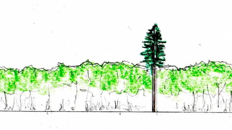 A rendering of a proposed 165-foot cell tower in Muttontown...