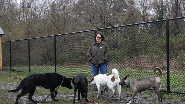 Teri Giacalone, Town of Islip Animal Shelter supervisor, at a shelter...