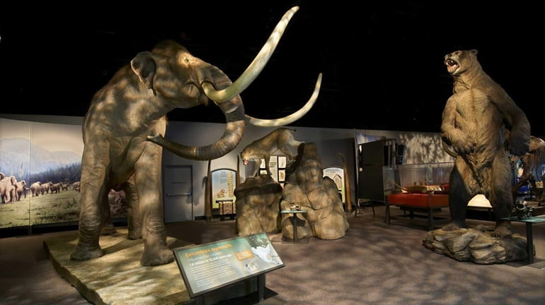 The Denver Museum of Nature and Science is opening a...