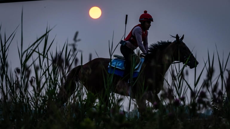 Horses train during Belmont Stakes week at Belmont Park in Elmont...