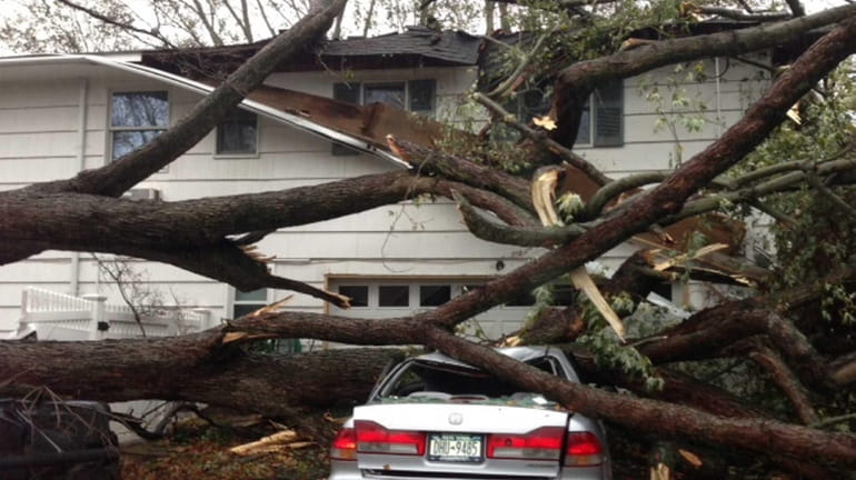 Homeowners who find damage to their property from Sandy are...