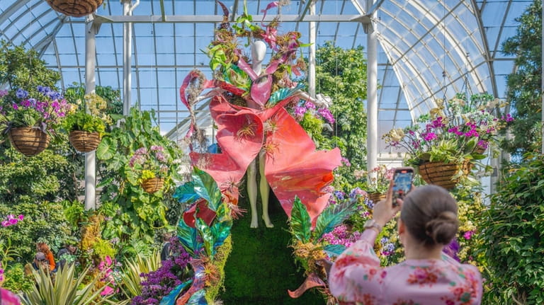 For fashion lovers, the garden’s annual orchid show running through...