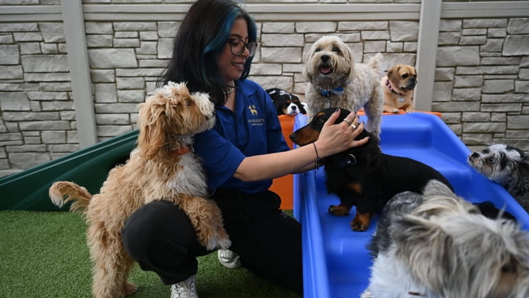 Pet care technician Debbie Zumaeta with furry guests in the...