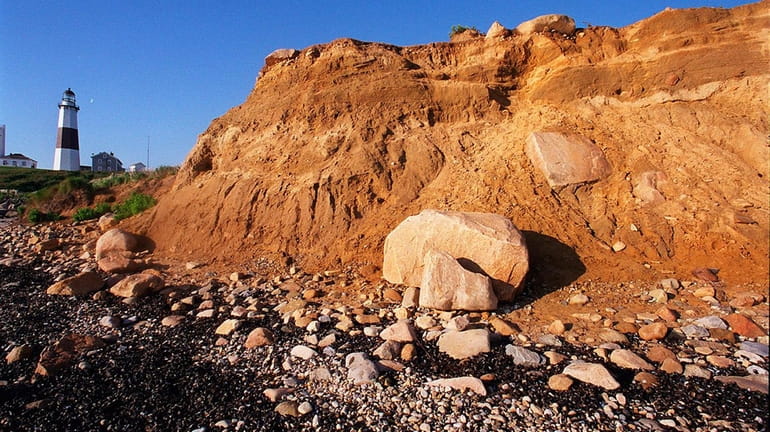 Erosion at Montauk Point bluffs reveals a cross section of...