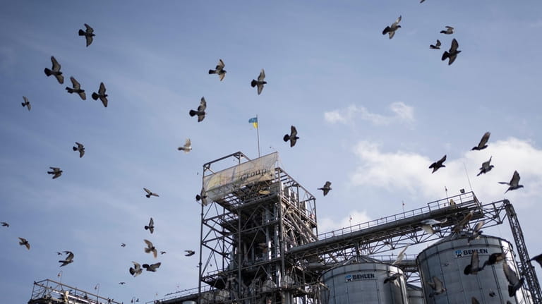 Birds fly around a grain handling and storage facility in...