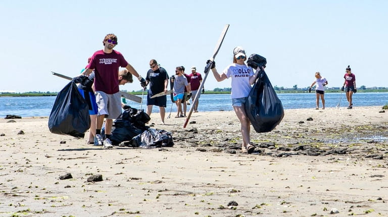 The Molloy College rugby team and other volunteers help clean...