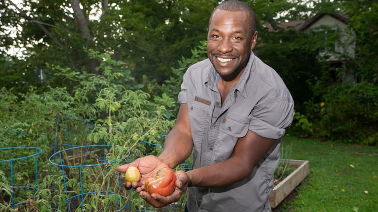Jermaine Owens havests tomatoes in his Southold garden as he...