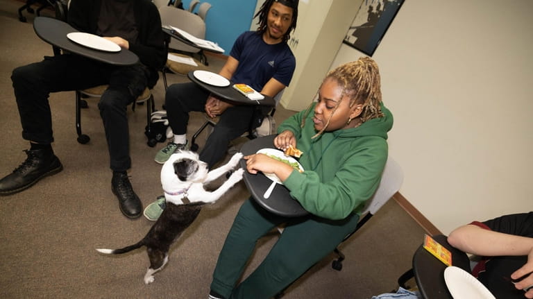 Molloy student Jerusha Trotman, foreground, with Lucy, a therapy dog, at a...