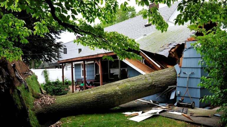 A tree crashed through two homes on Jupiter Lane in...