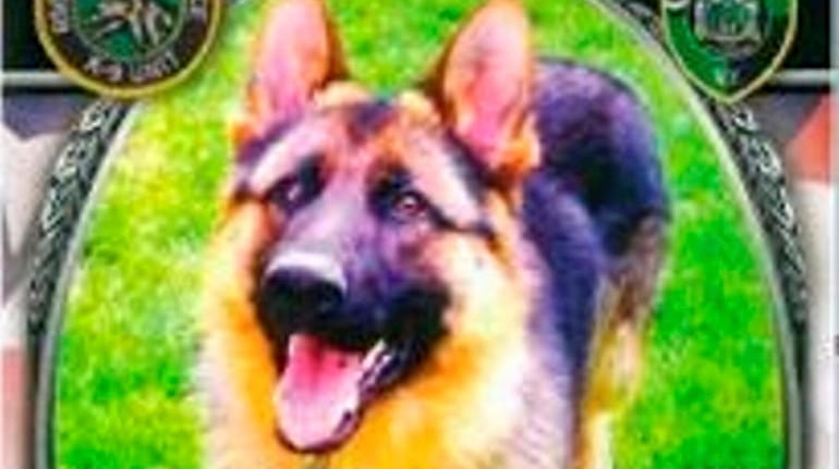 K-9 Rocky, who had been had been with the Riverhead Town...