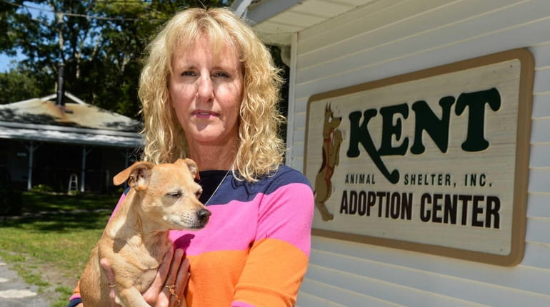 Executive director Pam Green holds Frodo at the Kent Animal...