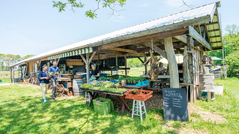 H.O.G Farm sells organic produce at its farm stand in...