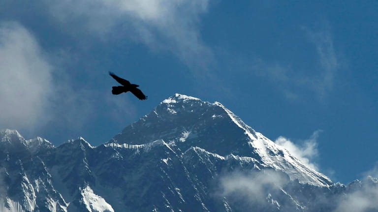 A bird flies with Mount Everest seen in the background...